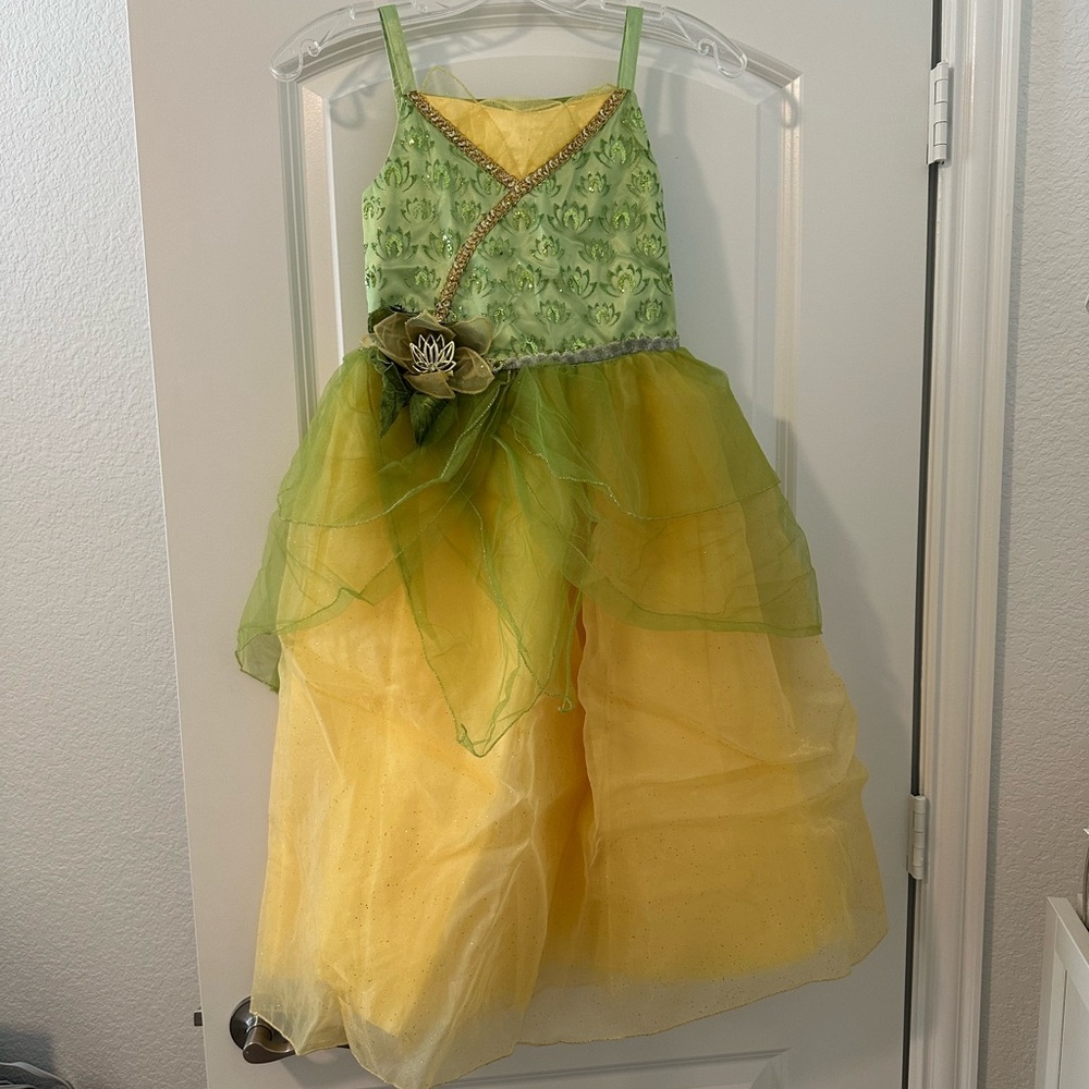Princess Tiana Dress-Up